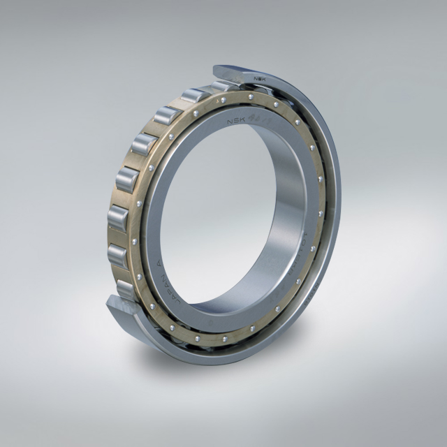 Standard Series of Single-Row Cylindrical Roller Bearings