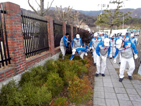 Cleaning areas around the plant